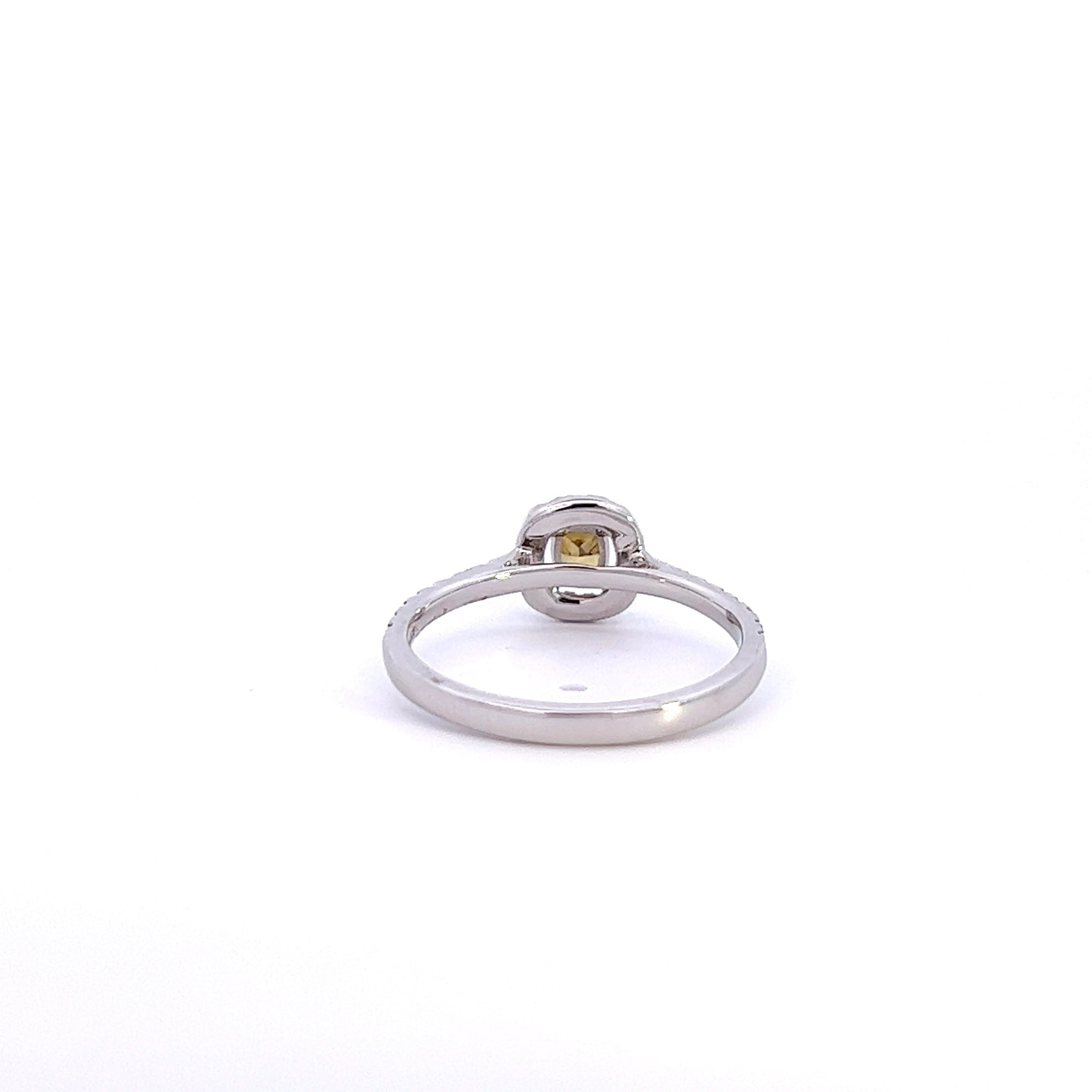 Round & Fancy Cushion Cut Halo Pattern Diamond Gold Ring